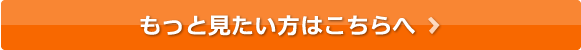 もっと見たい方はこちらへ